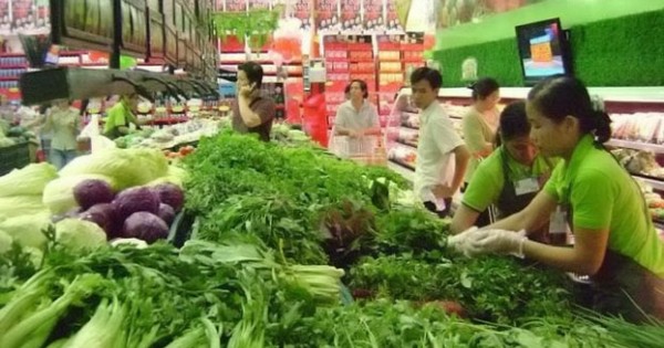 Hợp tác phát triển giống rau, hoa và khoai tây với Hà Lan