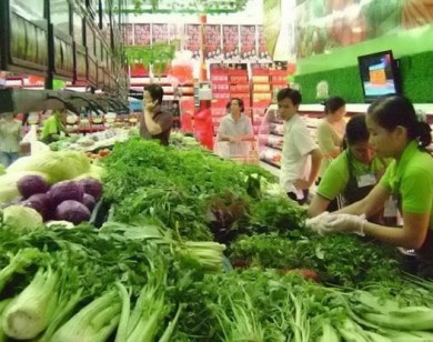 Hợp tác phát triển giống rau, hoa và khoai tây với Hà Lan