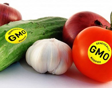 Thế nào là thực phẩm biến đổi gen?