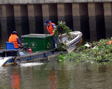 Cá chết nổi trắng kênh Nhiêu Lộc-Thị Nghè sau mưa trái mùa