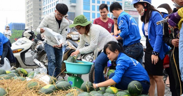 Chiến dịch 'giải cứu' dưa hấu: Cần lắm những trái tim tình nguyện!