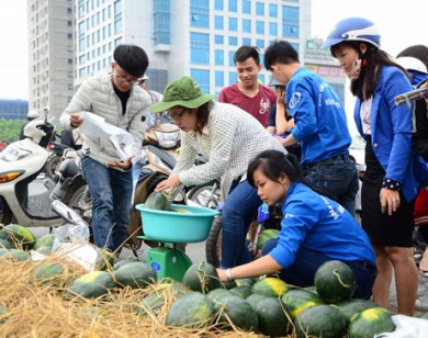 Chiến dịch 'giải cứu' dưa hấu: Cần lắm những trái tim tình nguyện!