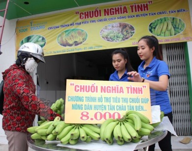 'Điệp khúc được mùa-mất giá': Nghịch lý của nông sản Việt Nam