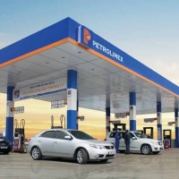 Chậm xử lý vi phạm trong quản lý vốn, ​Petrolimex bị phê bình