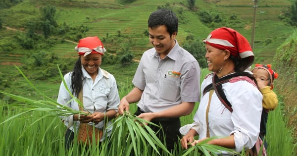 Standard Chartered cử người đại diện tham gia HĐQT Lộc Trời