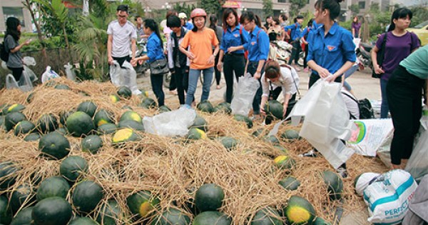 Nông nghiệp Việt Nam sẽ vẫn cần những cuộc giải cứu