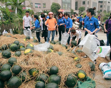 Nông nghiệp Việt Nam sẽ vẫn cần những cuộc giải cứu