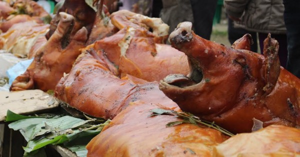 Ngắm “rừng” lợn quay ở Lạng Sơn, ai cũng phát thèm...