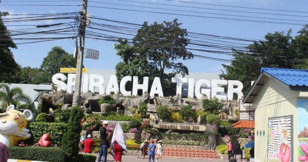 Tour nước ngoài hút khách, tour du lịch biển trong nước 'cháy vé'