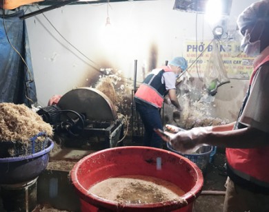 Gần 2 tấn chuối bào ngâm thuốc tẩy ở Sài Gòn