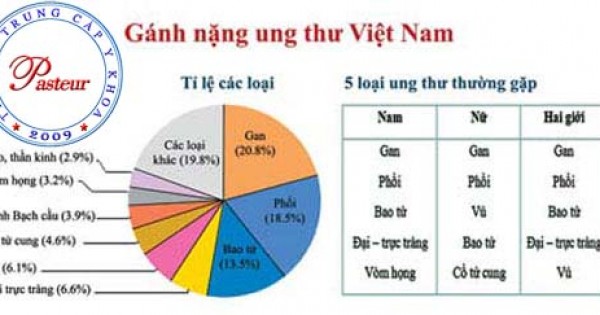 Chỉ mặt thủ phạm hàng đầu khiến bệnh ung thư gia tăng chóng mặt tại Việt Nam