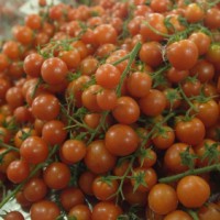 Mẹo đơn giản giúp bảo quản nông sản tươi ngon cả tuần