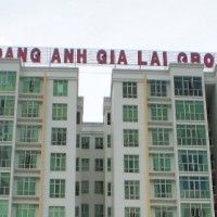 HAGL muốn chuyển đổi 1.100 tỷ đồng trái phiếu với giá 8.000 đồng/cổ phiếu