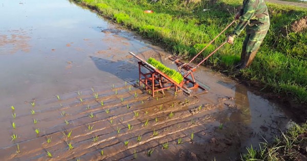 Nông dân Thái Bình chế máy cấy kỳ lạ: Đoàn khoa học về học hỏi