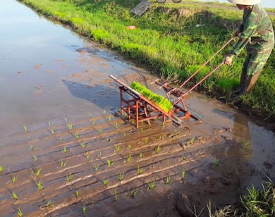 Nông dân Thái Bình chế máy cấy kỳ lạ: Đoàn khoa học về học hỏi