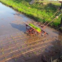 Nông dân Thái Bình chế máy cấy kỳ lạ: Đoàn khoa học về học hỏi