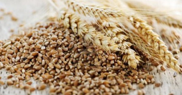 Thanh tra 15 công ty có sản phẩm dinh dưỡng cho trẻ tại Hà Nội