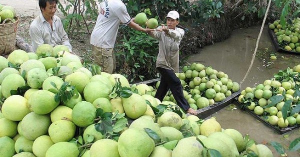 Những kiểu làm ăn ‘lạ đời’ của thương lái Trung Quốc