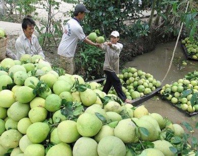 Những kiểu làm ăn ‘lạ đời’ của thương lái Trung Quốc