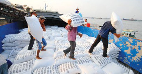 Giá gạo Việt Nam chạm đỉnh 13 tháng