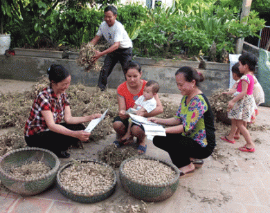 Đề xuất tăng mức đóng bảo hiểm y tế từ 2019