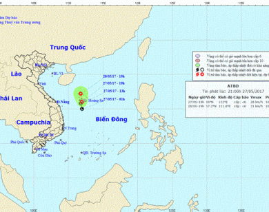 Chủ động đối phó với áp thấp mạnh hình thành trên Biển Đông