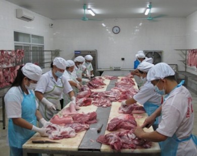 Thế giới đã ăn thịt lợn đông lạnh, người Việt vẫn thích thịt nóng