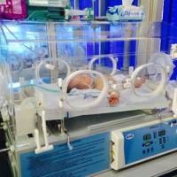 Uống mật khỉ chống sốt co giật, bé trai 5 ngày tuổi nguy kịch