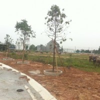 Tại sao đại gia ‘tháo chạy’ khỏi bất động sản Bình Dương?