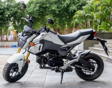 Honda MSX125 - xế 'cưng' cho giới trẻ Việt