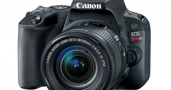 Canon trình làng Rebel SL2 gọn nhẹ với cảm biến cải tiến