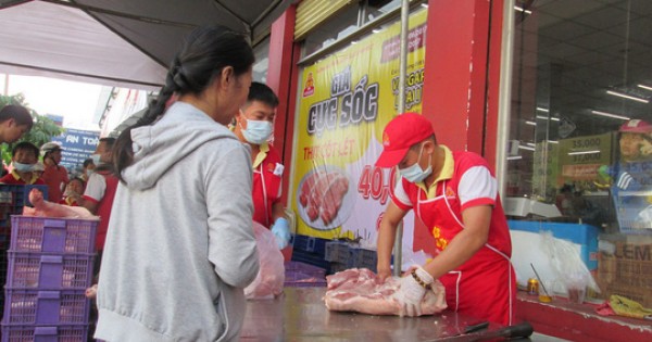TP HCM: Đã có quyết định cuối cùng về cấp phép kiểm dịch