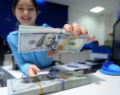 Tỷ giá ngoại tệ ngày 7/7: USD mất đỉnh, quay đầu giảm