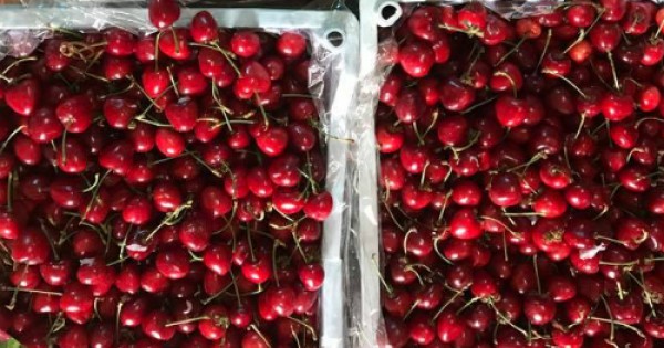 Cherry Trung Quốc giá rẻ chiếm lĩnh chợ online