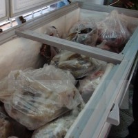 Lạng Sơn: Phát hiện hơn 4 tấn thịt thủ lợn bốc mùi hôi thối