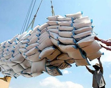 Xuất khẩu gạo vào thị trường Trung Quốc chiếm 43% thị phần
