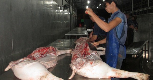 Giá heo bất ngờ giảm 10.000 đồng/kg, thương lái ngó lơ