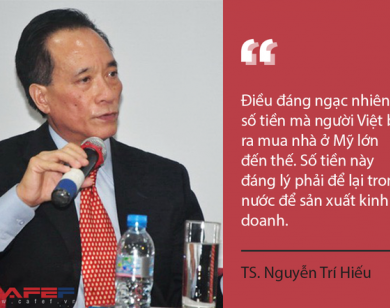 Bỏ hàng tỷ USD mua nhà ở Mỹ, người Việt gặp rủi ro gì?