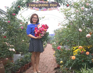 Chồng bỏ lương 100 triệu cùng vợ trồng 100 ngàn cây hoa hồng