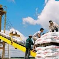 PVFCCo chín năm liên tiếp đoạt giải Báo cáo thường niên tốt nhất