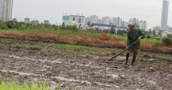 TP Hồ Chí Minh: Một siêu dự án bị "bỏ quên" 25 năm