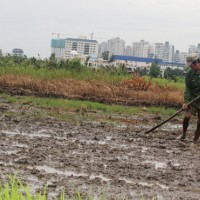 TP Hồ Chí Minh: Một siêu dự án bị bỏ quên 25 năm