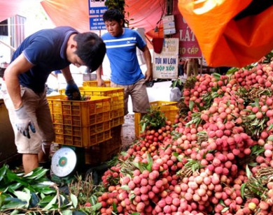 Bắc Giang thu hơn 5.300 tỷ đồng vụ vải thiều năm 2017