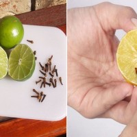 Chỉ cần nửa quả chanh làm theo cách này trong gia đình bạn chẳng bao giờ có con muỗi nào