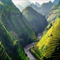 Tây Bắc mùa lúa chín rực rỡ sắc vàng trong ảnh 'Dấu ấn Việt Nam'