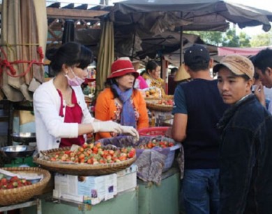 Đà lạt: Tăng cường kiểm tra, xử lý nạn 'cò’ trong hoạt động kinh doanh dịch vụ