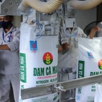 Đạm Cà Mau dừng máy trong tháng 8 để bảo dưỡng định kỳ