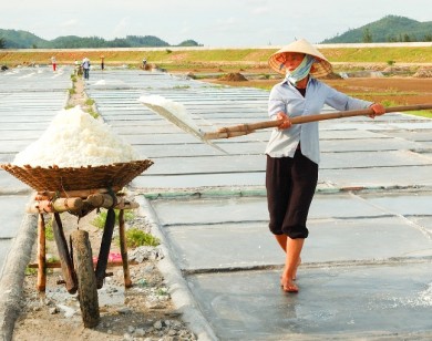 Vẻ đẹp lao động trên đồng muối Tĩnh Gia