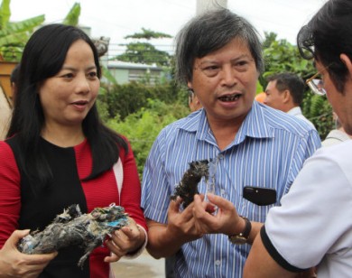 'Để có mùi là dẹp ngay nhà máy điện rác'