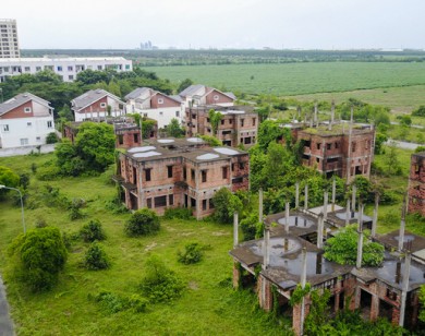 Hàng trăm biệt thự hoang tàn trong khu đô thị mới ở Đồng Nai